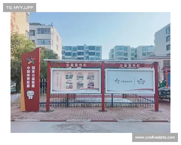 体育公益属性强化 社会责任与商业价值协同增长